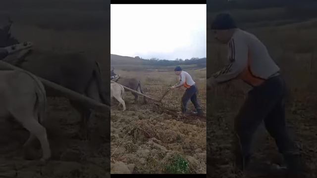 Кто знает что они делают?? Напишите в комментарии 👇👇 смотреть онлайн