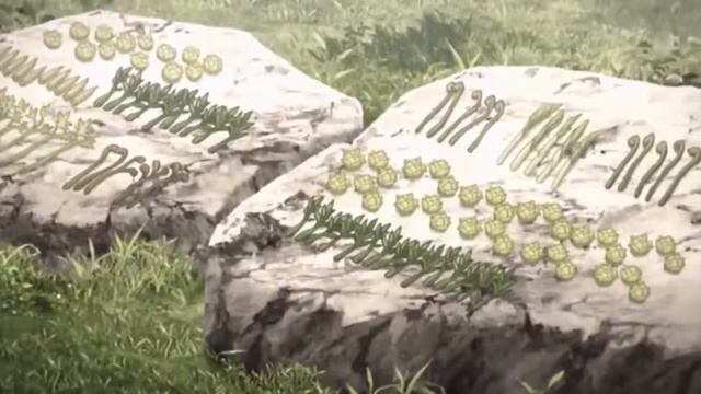 Светлый путь