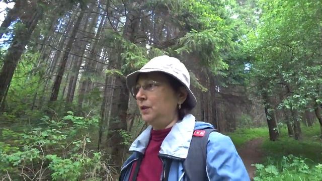 Андроновский лес (3_3) Пермь 15 июня 2019 смотреть онлайн