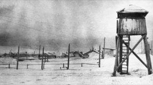 Где то в поле,возле Магадана.Николай Заболоцкий.