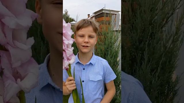 «Загадки герба п. Загорянский» смотреть онлайн