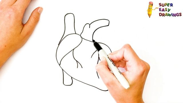 How To Draw A Human Heart Step By Step ? Human Heart Drawing Easy смотреть онлайн