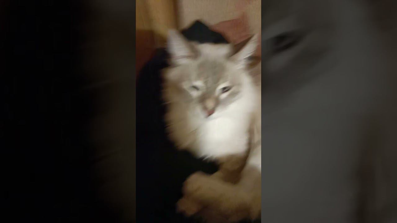 5 января 2024 г. смотреть онлайн