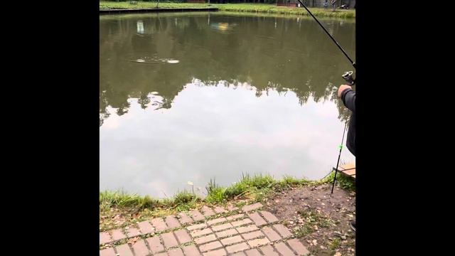 Голицыно Fish поимки до запуска смотреть онлайн