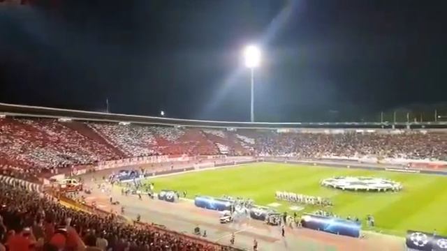 Koreografija Zvezdinih navijača na meču sa Olimpijakosom смотреть онлайн