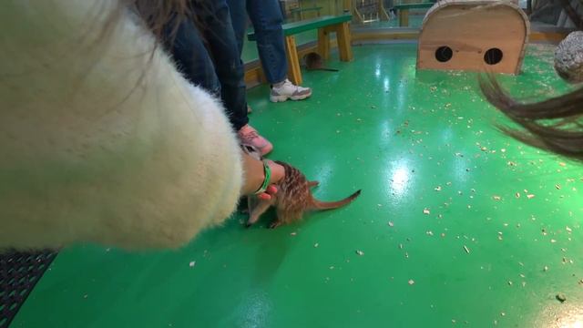 Понастроили ТЦ Respublika.Blockbuster Mall нашли зоопарк декабрь 2021 смотреть онлайн