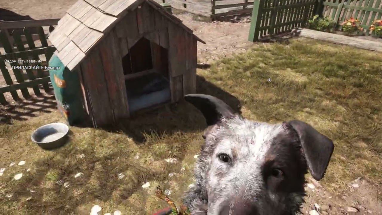 Far Cry 5 - 14 часть Задание Лучший друг человека смотреть онлайн