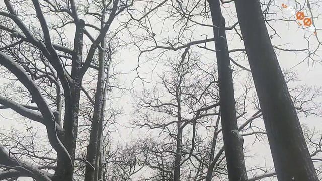 РаФФи - Как красив на рассвете снежок смотреть онлайн