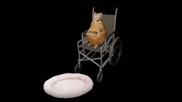 Мой кот упал((( смотреть онлайн