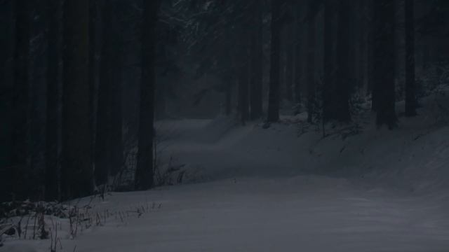 14-летний мальчик прятался в трупе убитой лошади, чтобы согреться в мороз. Удивительная история. смотреть онлайн