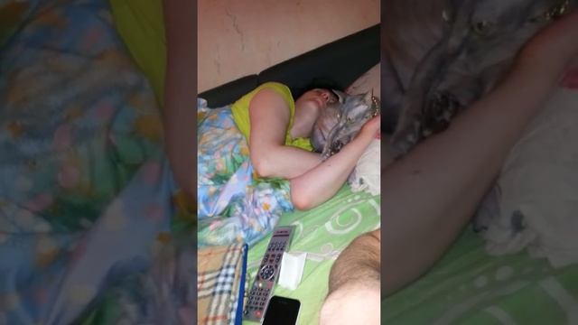 Муррр от мышки(7) смотреть онлайн