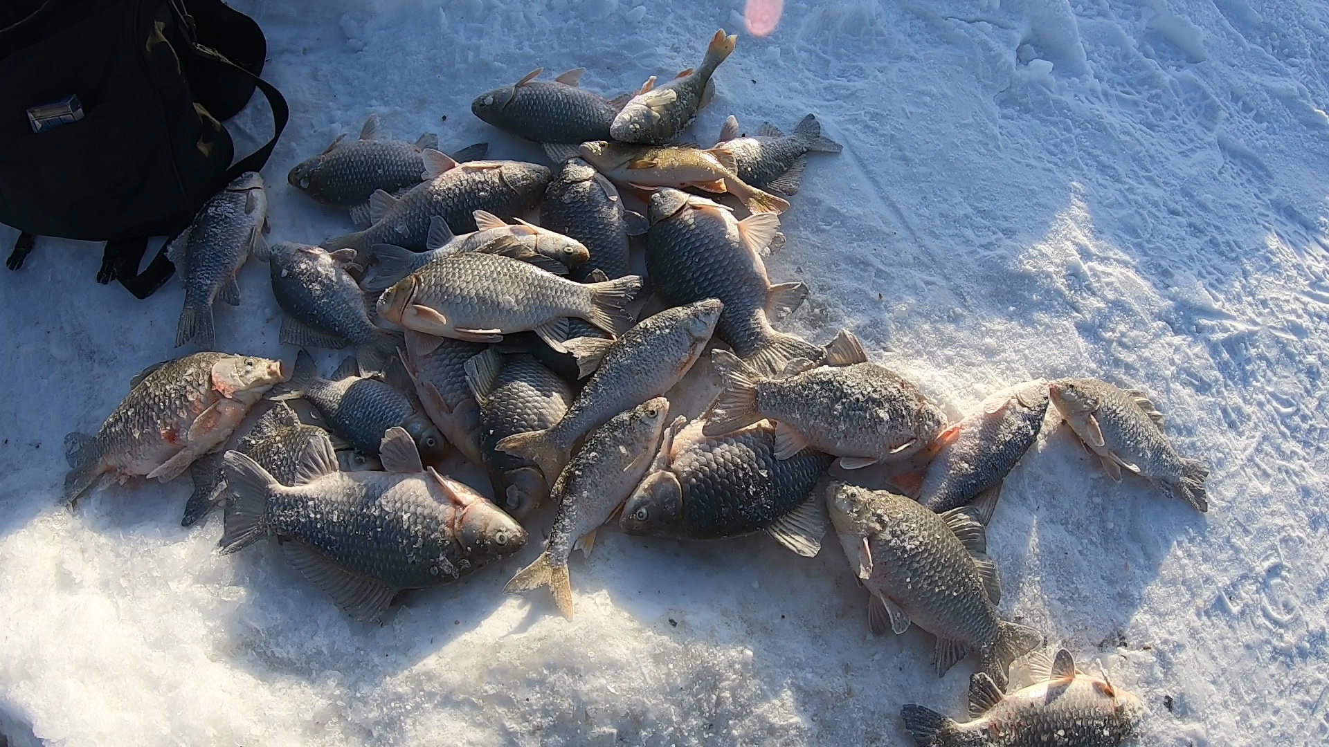 Леска трещала. Мормышки гнуллись. Караси Гиганты. Рыбалка на горбунца смотреть онлайн