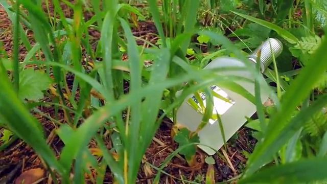 Пожалуй, лучший ВЕТИВЕР в парфюмерии. смотреть онлайн