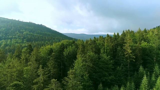 Calming Music, Deep Relaxation Music, Angelic Voice Music, Sleep Music, Meditation Music смотреть онлайн