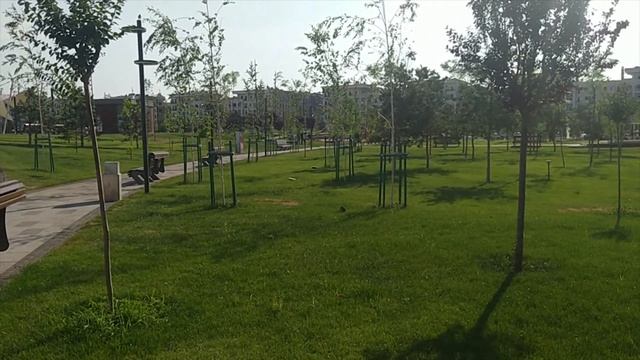 TASHKENT CITY PARK (15. 06. 2020y.) смотреть онлайн