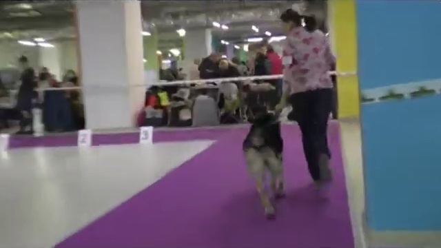 Империя смотреть онлайн