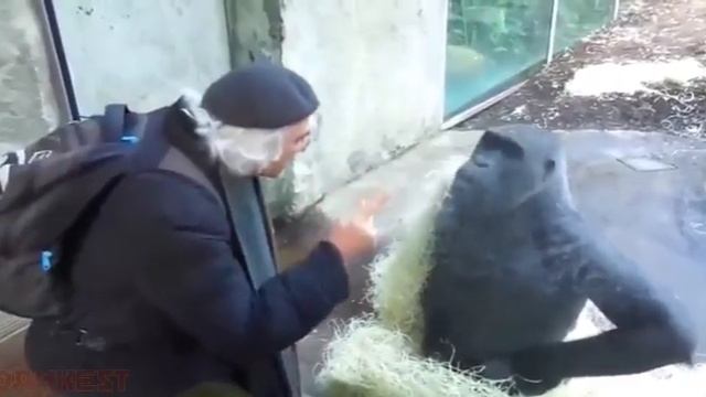 разговор по душам смотреть онлайн