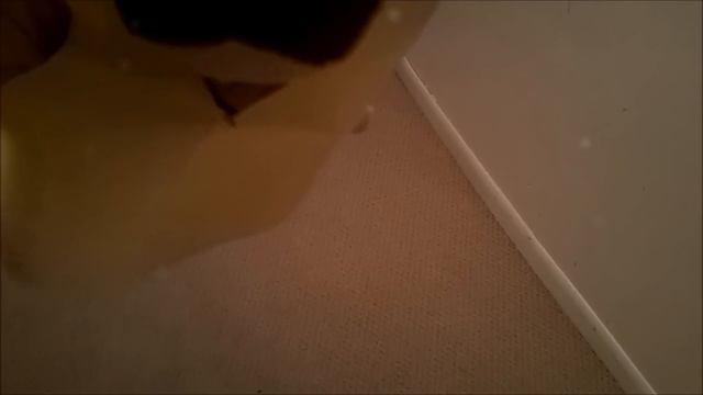 Pride of Baghdad Trailer смотреть онлайн