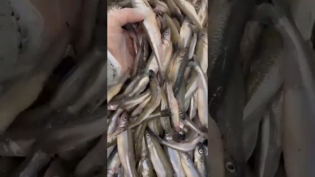 Корюшка свежая смотреть онлайн