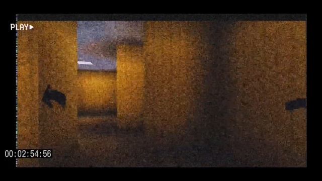 The Backrooms (Found Footage) [Minecraft] смотреть онлайн