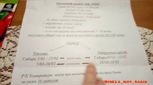 Болгарский перец. Сроки посадки на рассаду для Сибири.