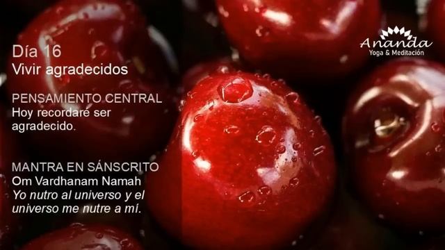 Deepak Chopra día 16 Meditación Creando Abundancia смотреть онлайн