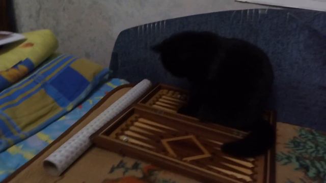 Какая интересная игра смотреть онлайн