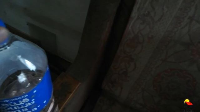 Как сохранить елку после новогодних праздников Ч2 смотреть онлайн