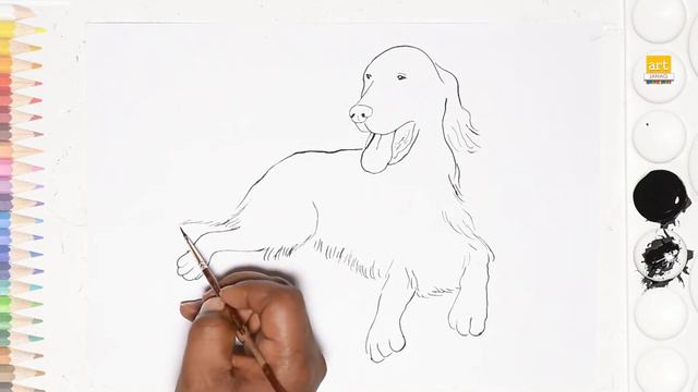 Irish Setter Dog Drawing Easy | How To Draw A Irish Setter Dog
