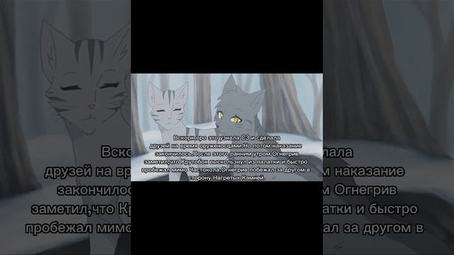 История Крутобока(по просьбе подписчика)/Коты-воители смотреть онлайн