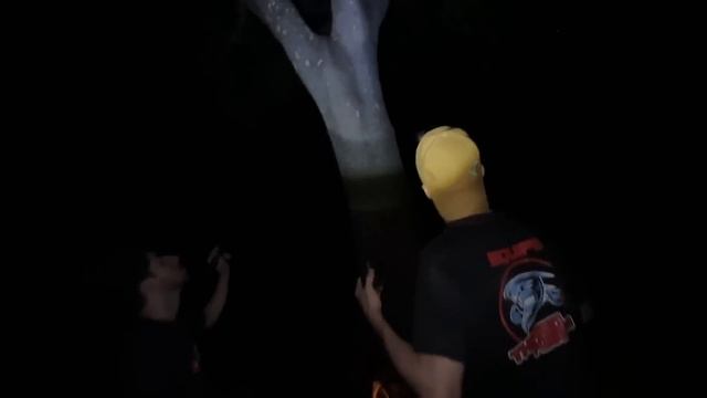 NÃO IMAGINEI QUE IRIA ENCONTRAR OSSOS NESSA GRAVAÇÃO! смотреть онлайн