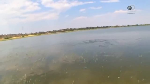 Эд Стаффорд - Выживание без купюр