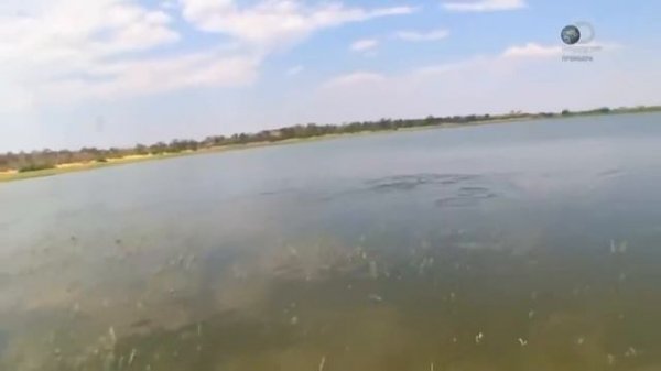 Эд Стаффорд - Выживание без купюр