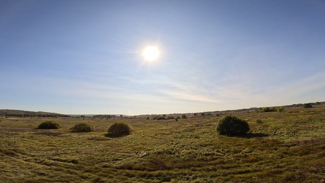 Первые слёты! 24 сентября 2023 г. смотреть онлайн