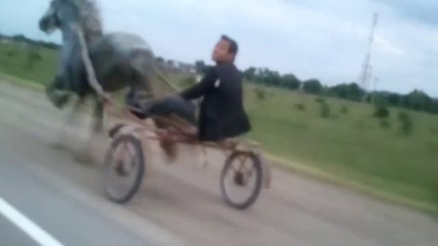 Цыганские лошади смотреть онлайн