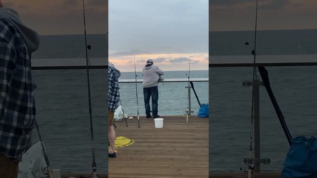 Июльская камбала в Зеленоградске. Балтийское море. Калининградская область. #shorts смотреть онлайн