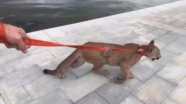 Продолжение