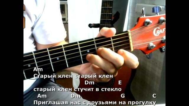 Старый клен. Текст песни, аккорды, разбор. смотреть онлайн