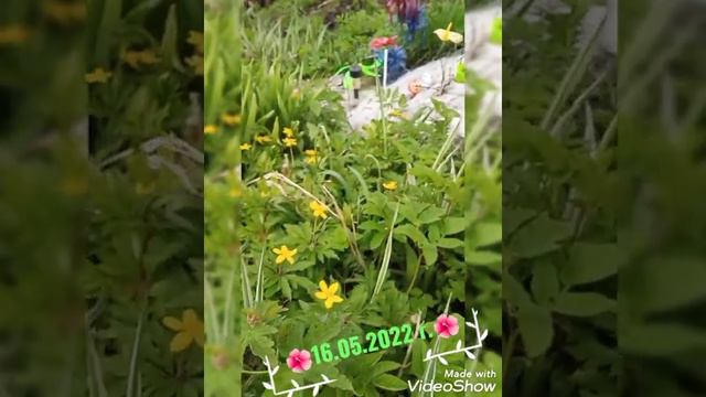 РЕКА СУХОНА. 16.05.2022 г. смотреть онлайн