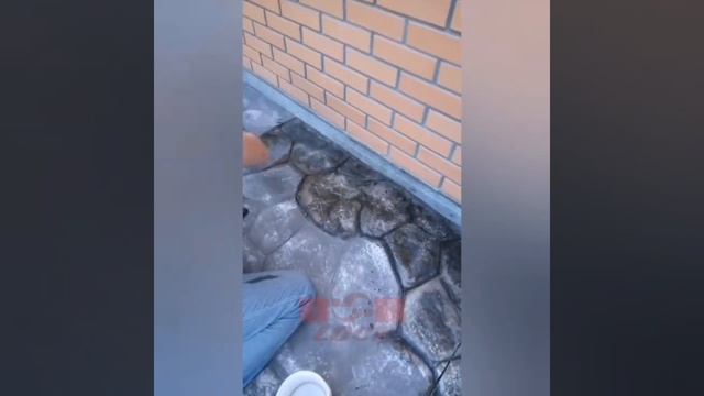 Покрытие лаком печатного бетона на отмостке жилого дома. смотреть онлайн