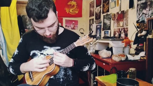 Nargaroth - seven tears are flowing the river Cover ukulele смотреть онлайн