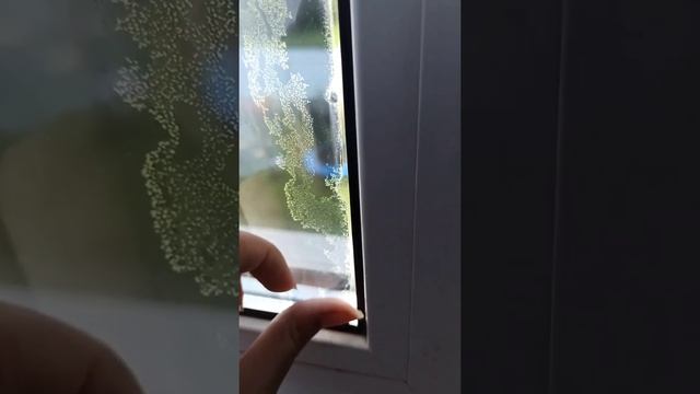 Строительная Таймлайн