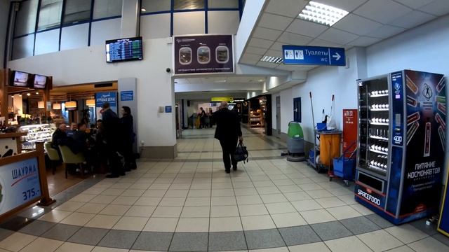 Tolmachevo Airport - Russia / Новосибирск 4К смотреть онлайн