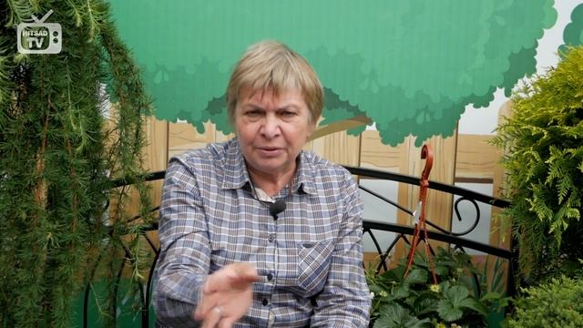 Земляника садовая (Клубника)➡ Препараты от вредителей ? Сад и огород с Хитсад смотреть онлайн