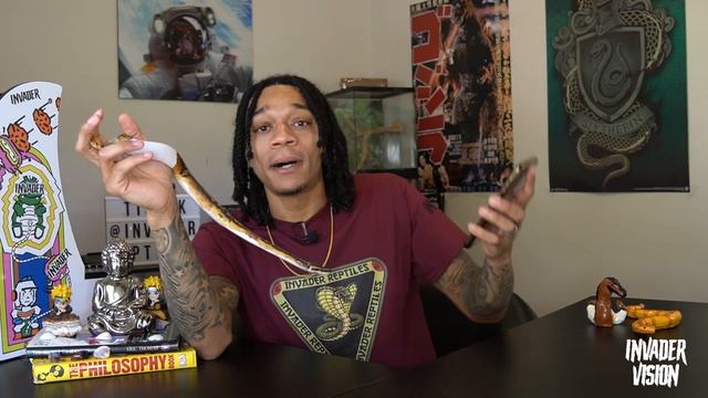 Is the Ball Python The best Beginner Pet Snake ? смотреть онлайн