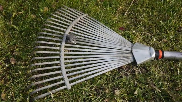 Только нужные инструменты для огорода | Чем так хорош садовый инструмент Гардена | Садовый инвентар смотреть онлайн