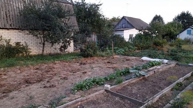 Наша Мальва потеряла девственность и другие новости. смотреть онлайн