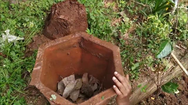 Planting Passion Fruit in a Pot (Malayalam) смотреть онлайн