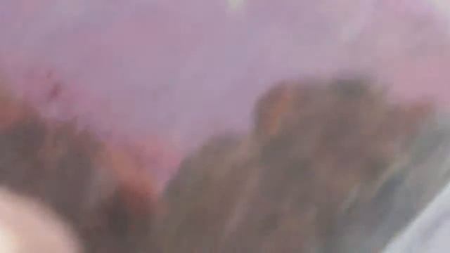 Уход и содержание жабы. смотреть онлайн