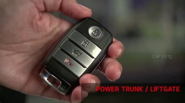 KIA seltos Smart Key Fob hidden features